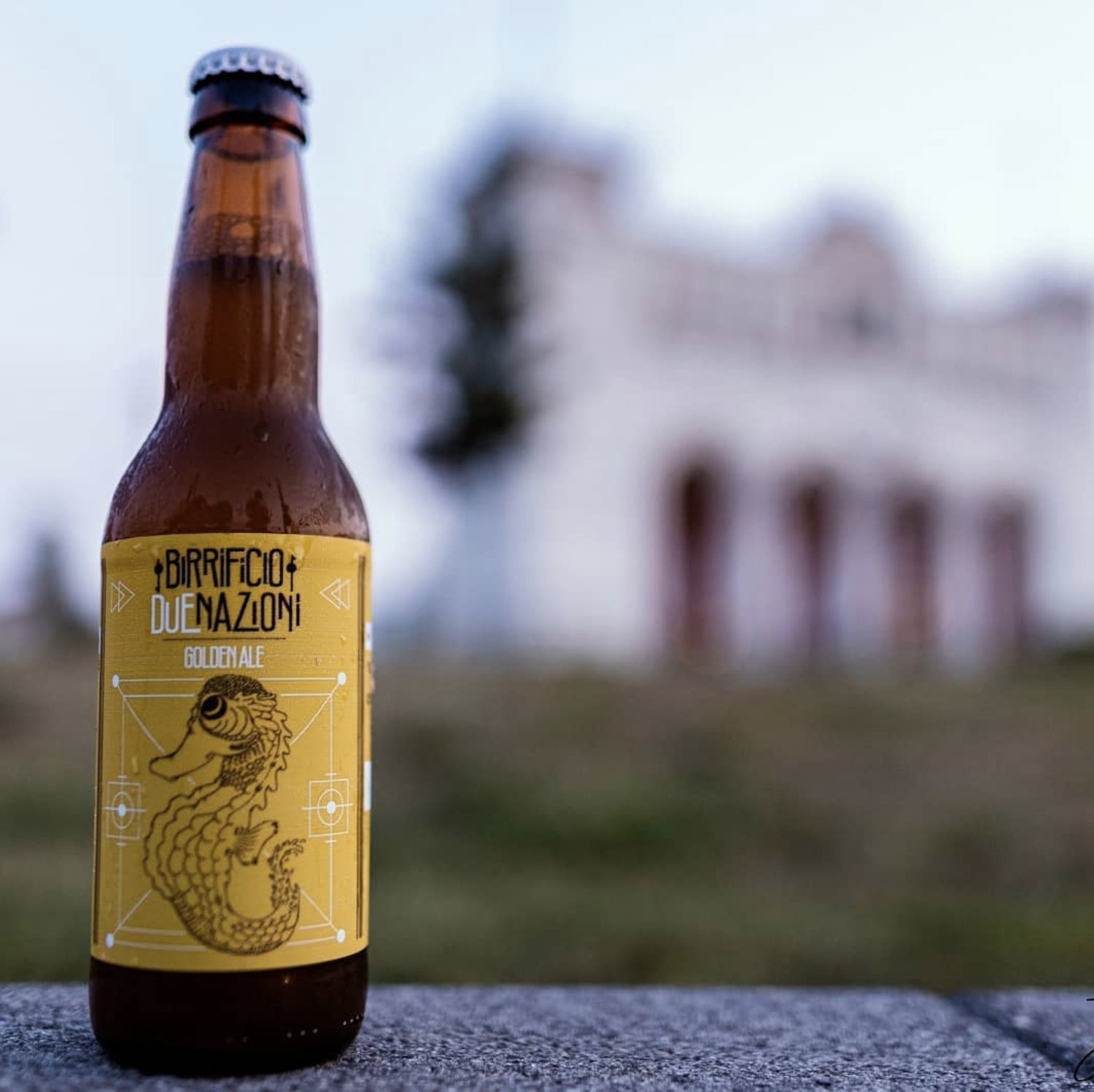 golden birrificio due nazioni